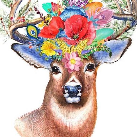 Meet your Posher, Linda - Picture 1 of 1